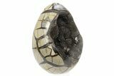 Septarian Dragon Egg Geode - Black Crystals #241096-1